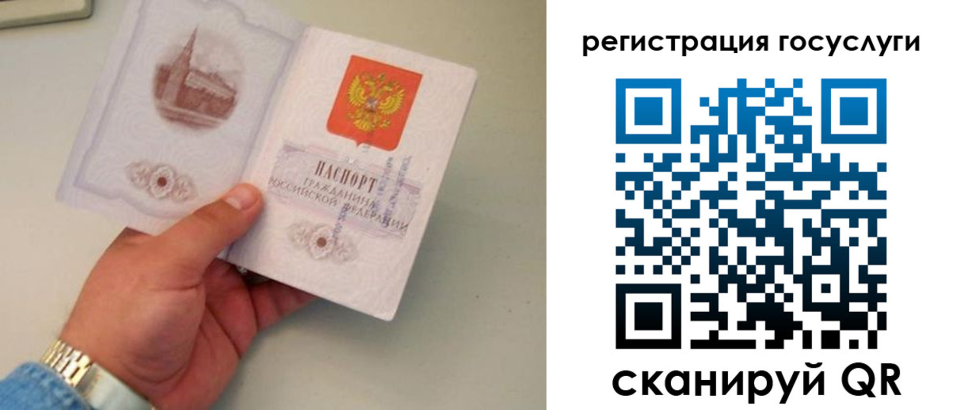 прописка регистрация в Полярных Зорях